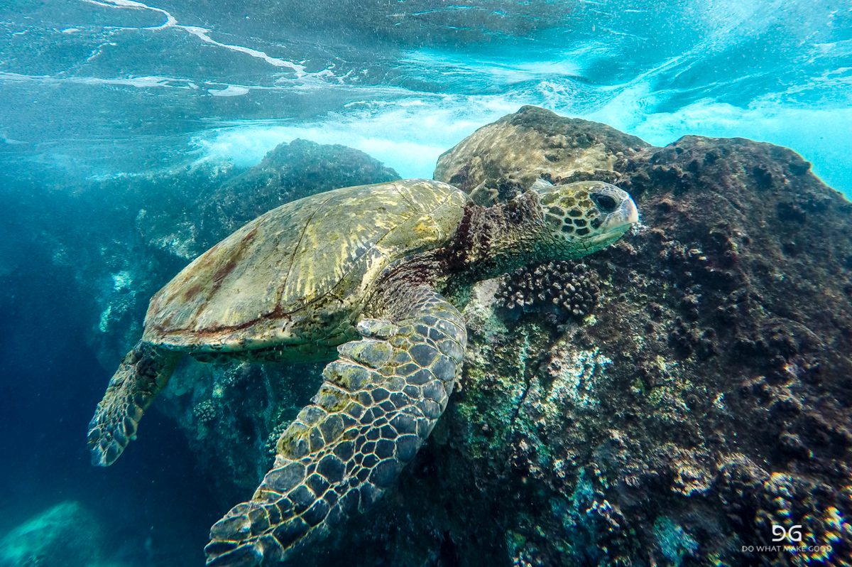 Hawaii