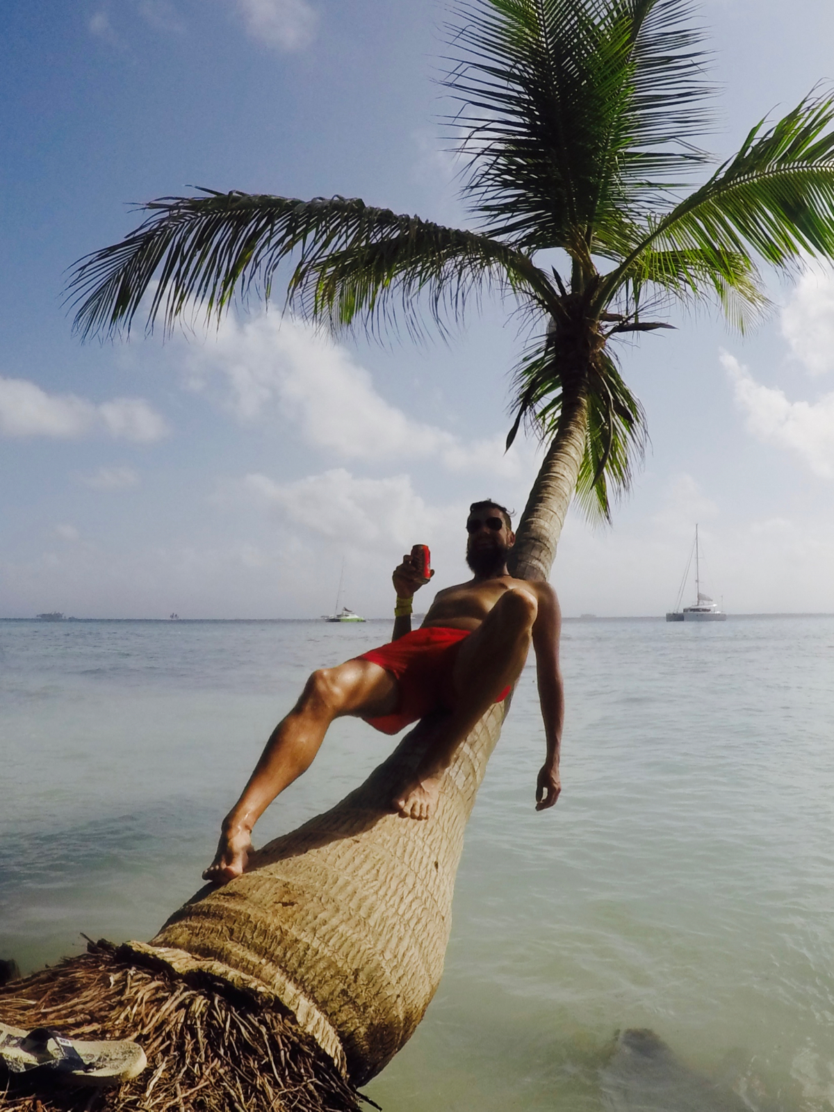 DCIM100GOPROGOPR2234.