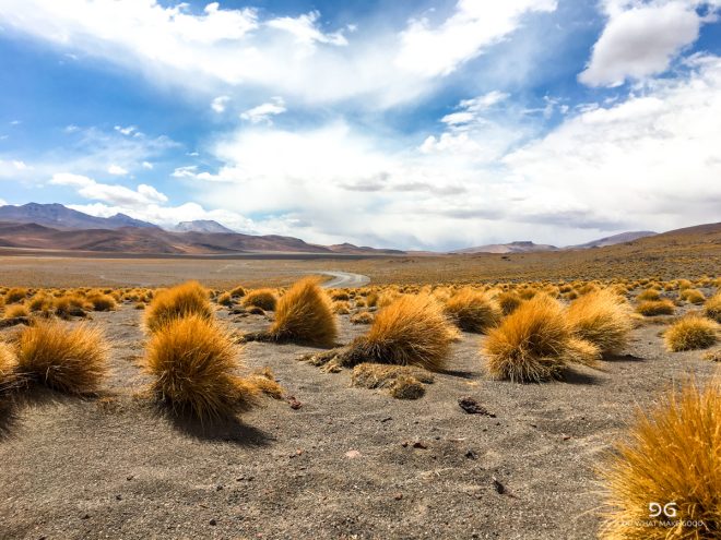 Bolivia