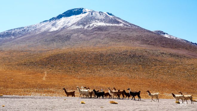 Bolivia