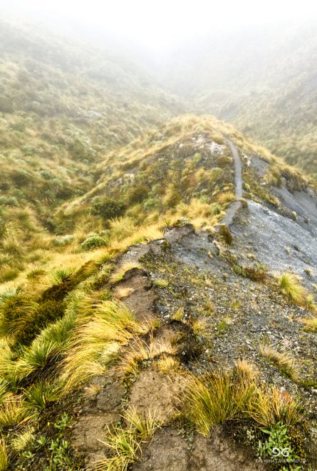 Te Araroa New Zealand