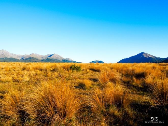 Te Araroa New Zealand