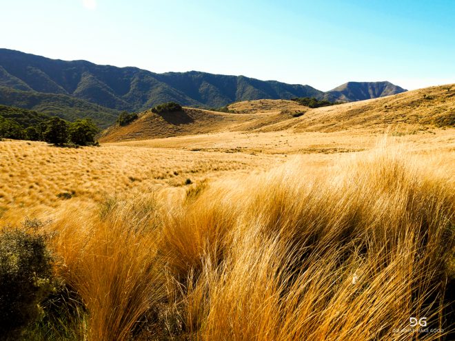 Te Araroa New Zealand