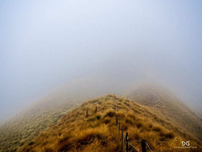 Te Araroa New Zealand