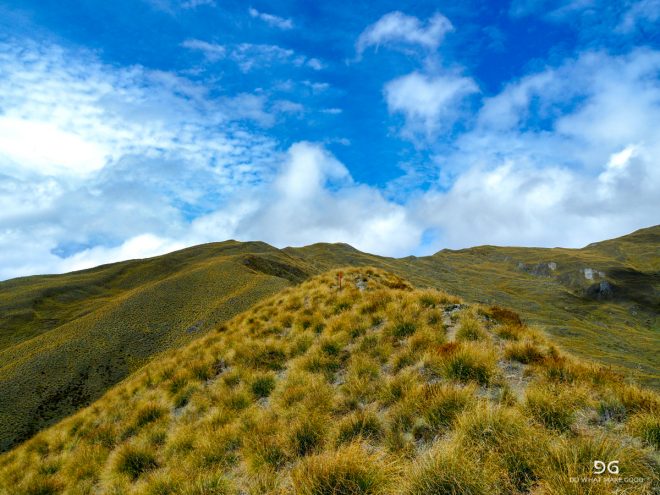 Te Araroa New Zealand