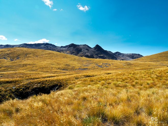 Te Araroa New Zealand