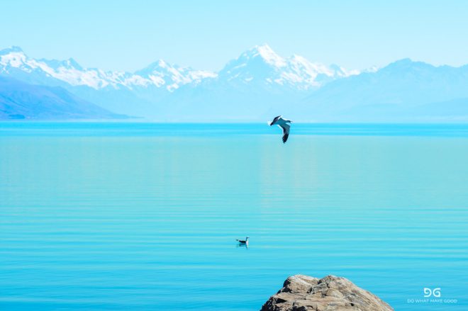 Te Araroa New Zealand