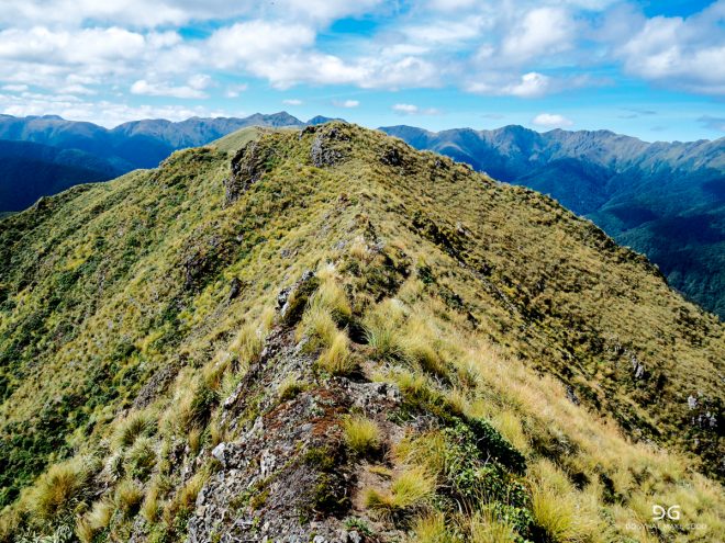 Te Araroa New Zealand