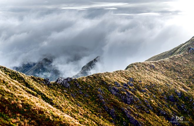 Te Araroa New Zealand