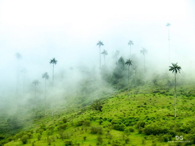 Colombia