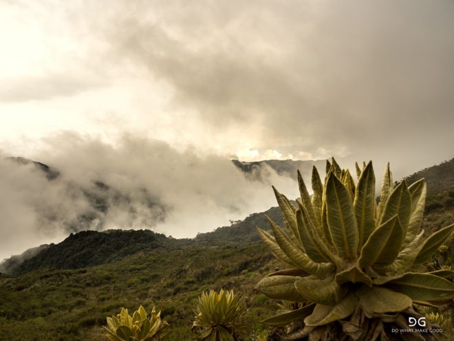 Colombia