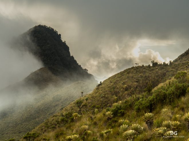 Colombia