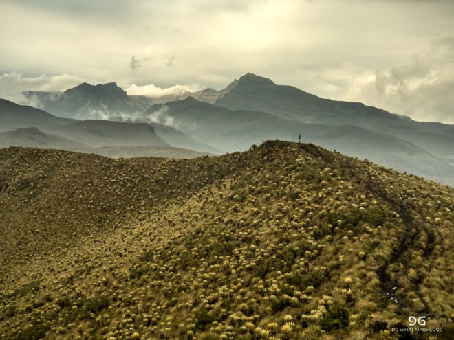 Colombia