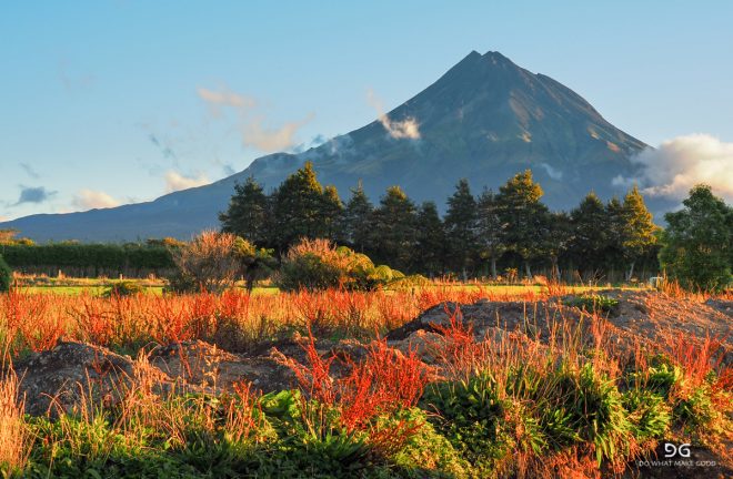 Te Araroa New Zealand