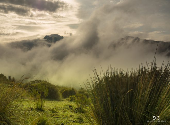 Colombia