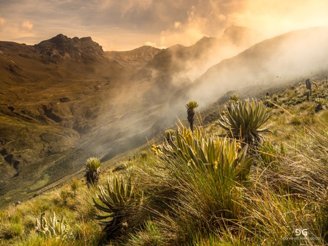 Colombia