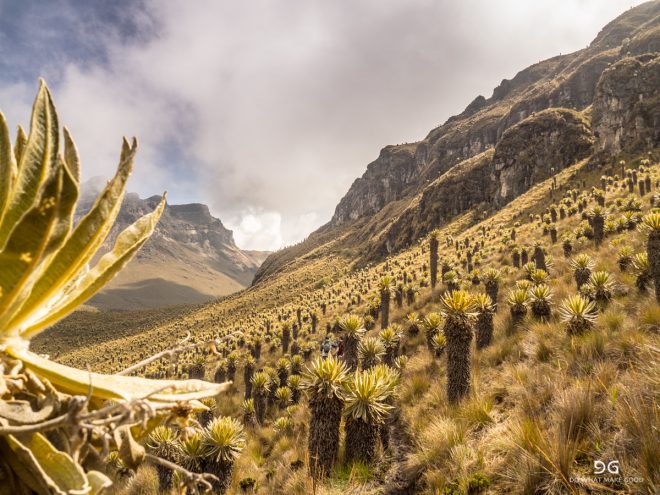 Colombia
