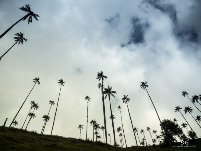 Colombia