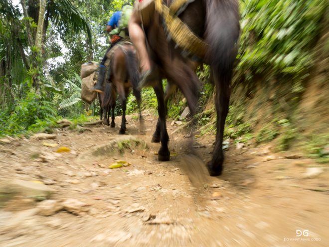 Colombia