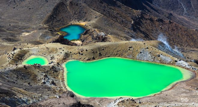 Te Araroa New Zealand