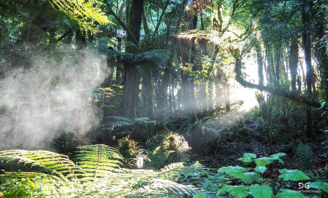 Te Araroa New Zealand