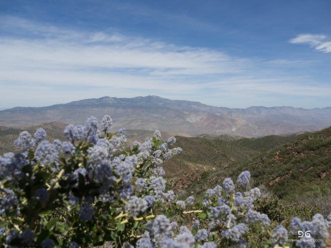 Pacific Crest Trail