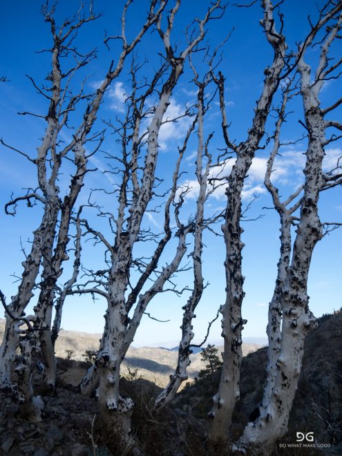 Pacific Crest Trail