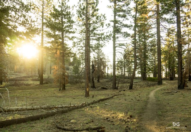 Pacific Crest Trail