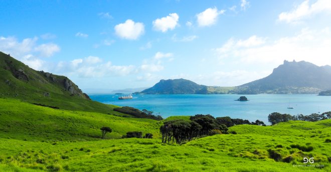 Te Araroa New Zealand