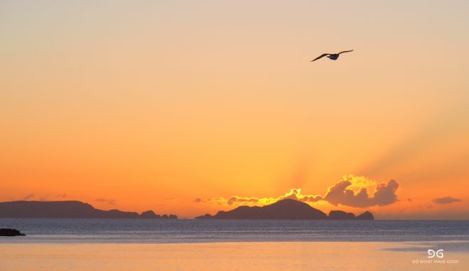 Te Araroa New Zealand