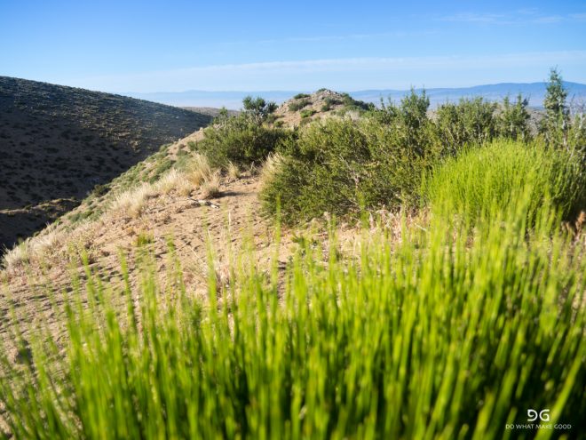 Pacific Crest Trail