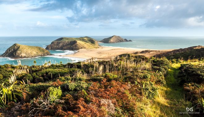 Te Araroa New Zealand