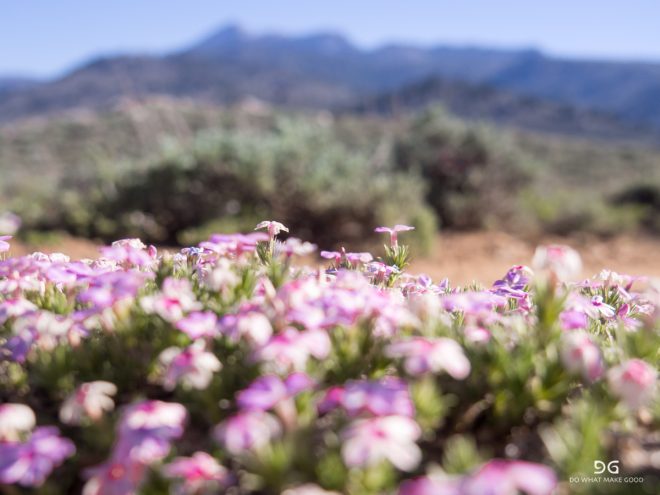 Pacific Crest Trail
