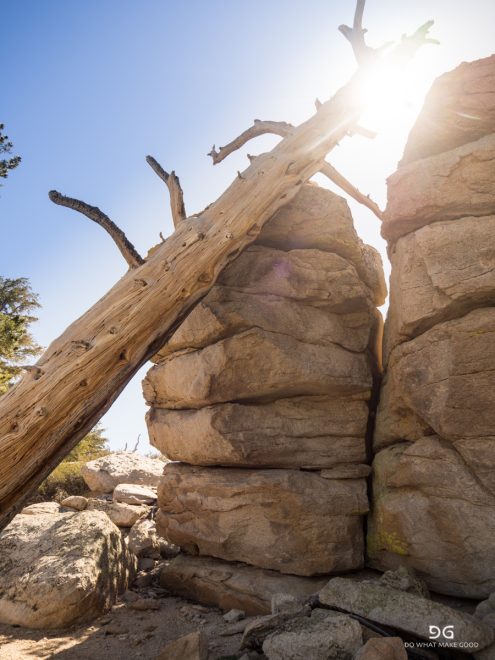 Pacific Crest Trail