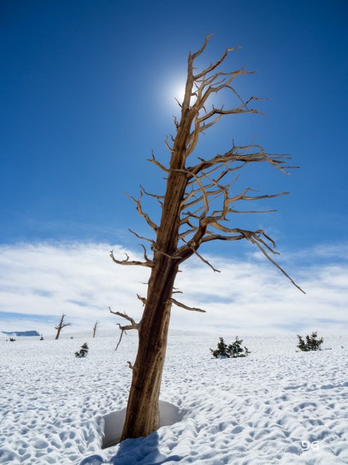 Pacific Crest Trail