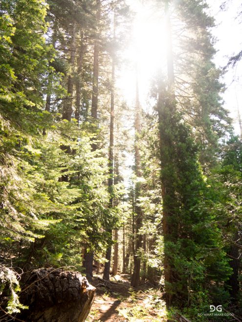 Pacific Crest Trail
