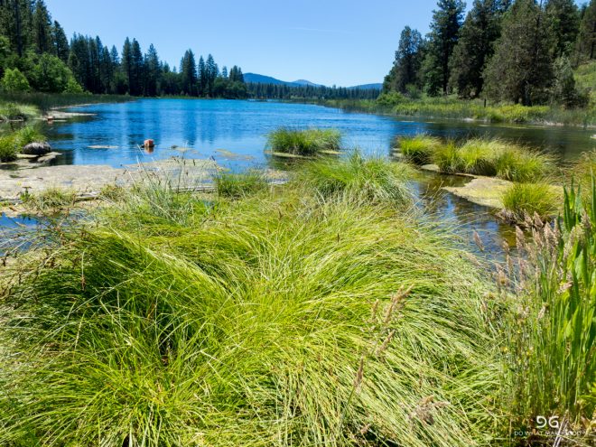 Pacific Crest Trail