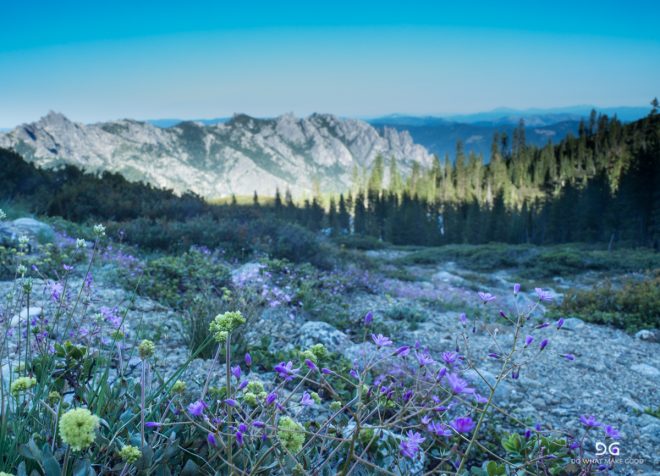 Pacific Crest Trail