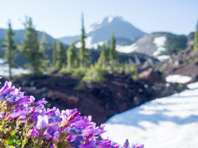 Pacific Crest Trail