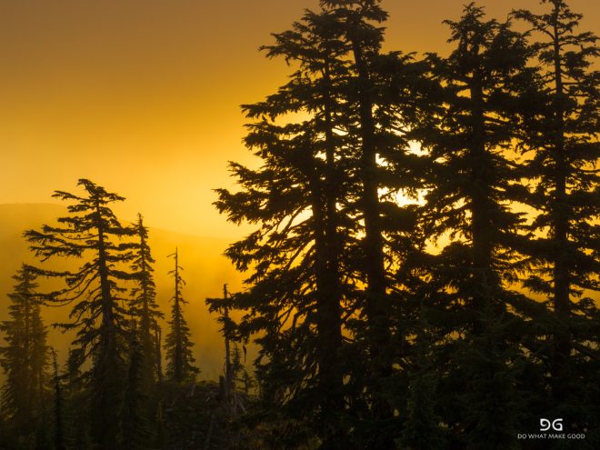Pacific Crest Trail