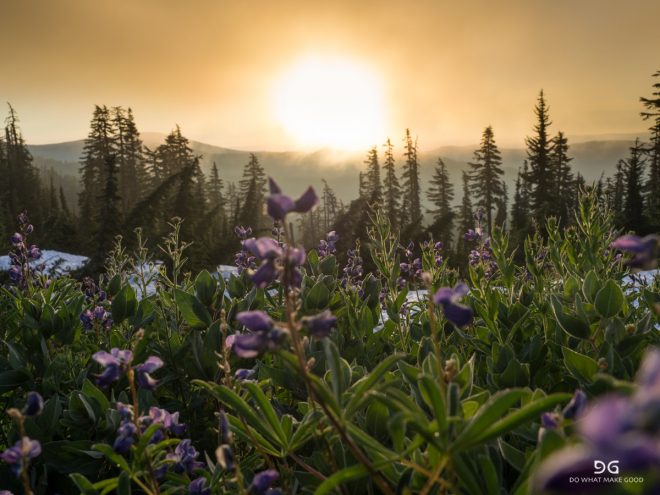 Pacific Crest Trail