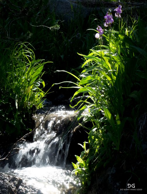 Pacific Crest Trail