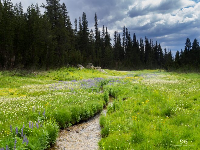 Pacific Crest Trail