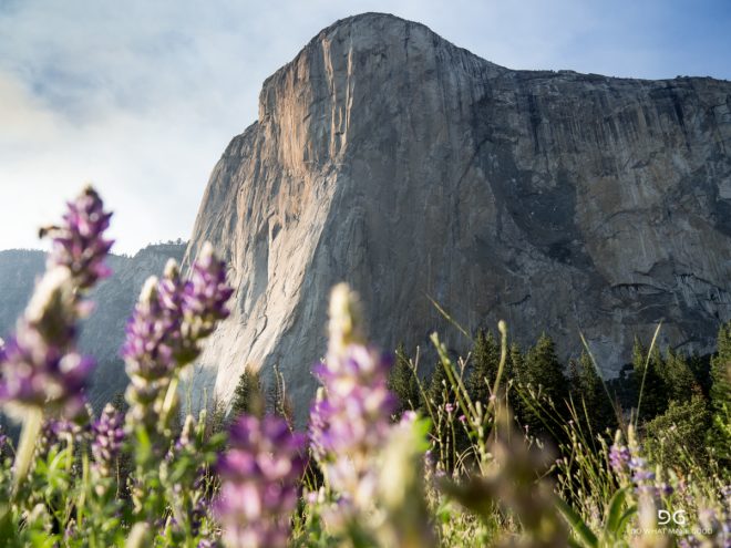 Pacific Crest Trail