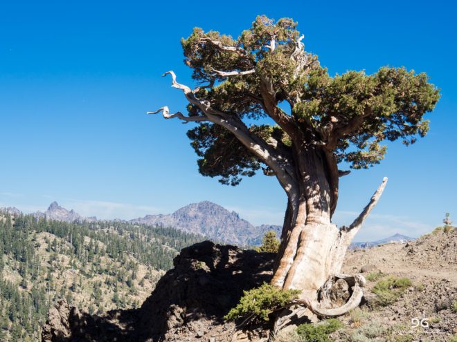 Pacific Crest Trail