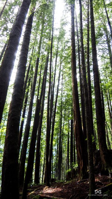 British Columbia