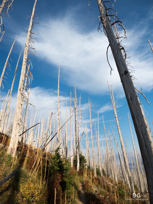 Pacific Crest Trail