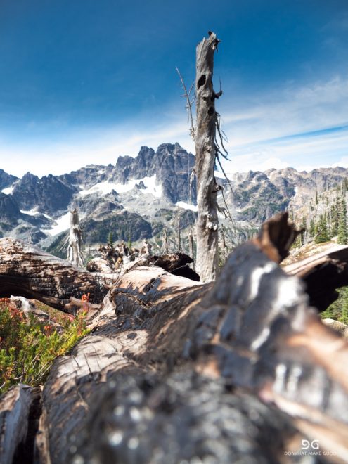 Pacific Crest Trail