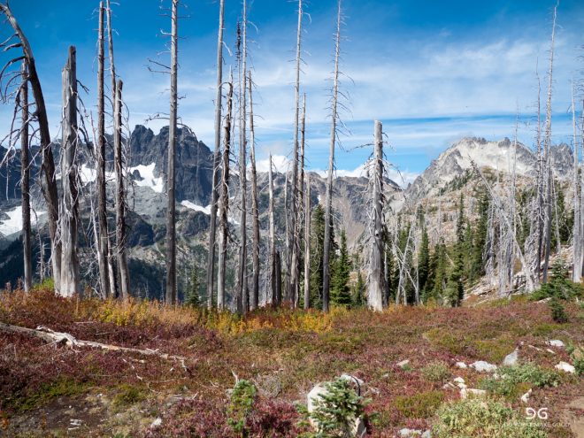 Pacific Crest Trail