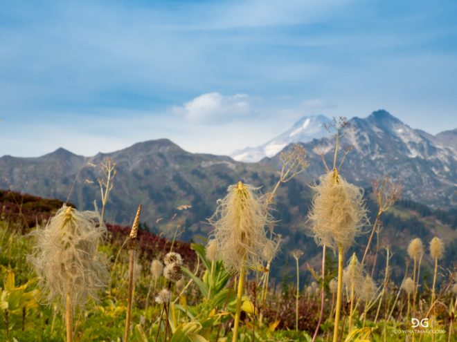 Pacific Crest Trail